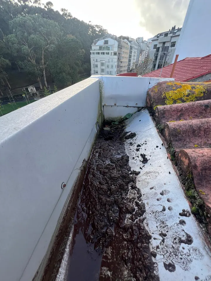 Antes: canalón de obra lleno de barro, hojas y musgo